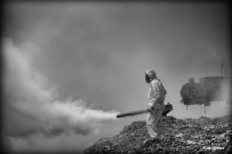 CPD Plagas - Control de Plagas y Termitas