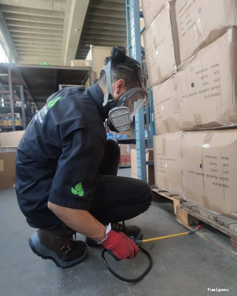 Fumigar cucarachas en Sevilla | Cuquis fuera