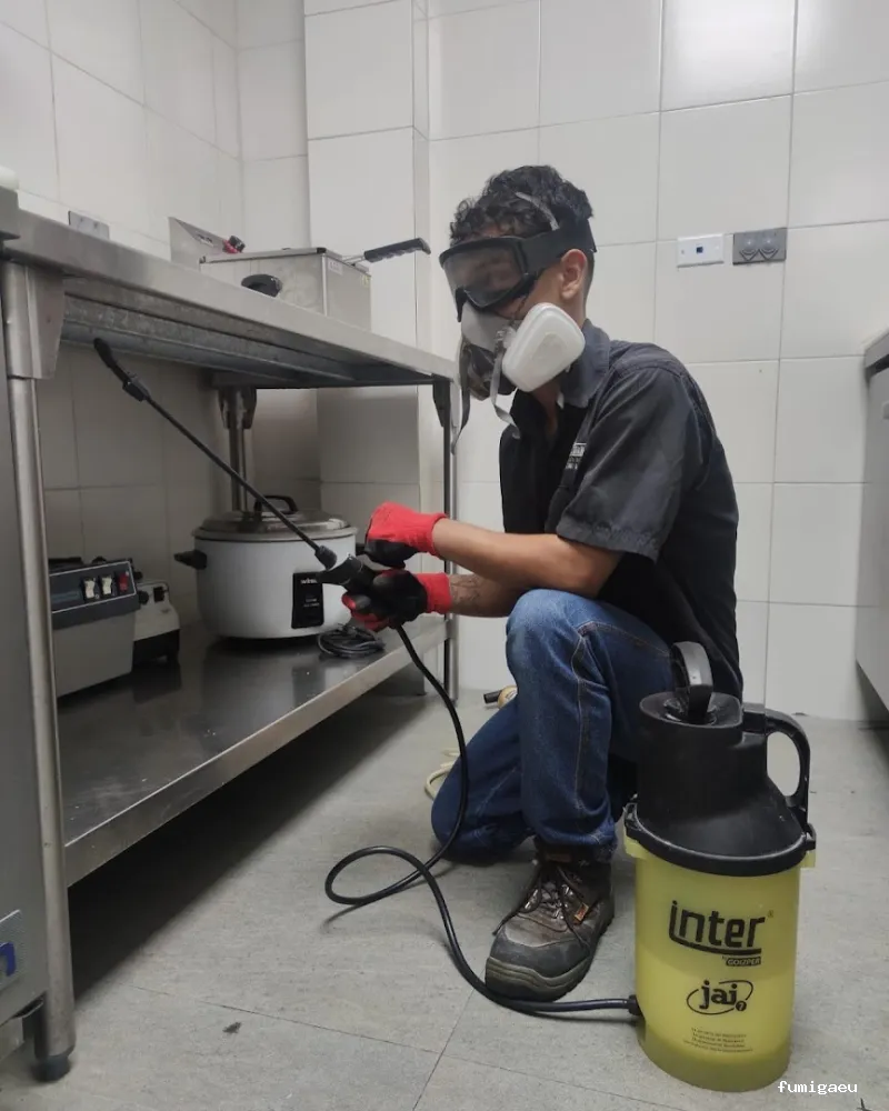 Fumigar cucarachas en Sevilla | Cuquis fuera