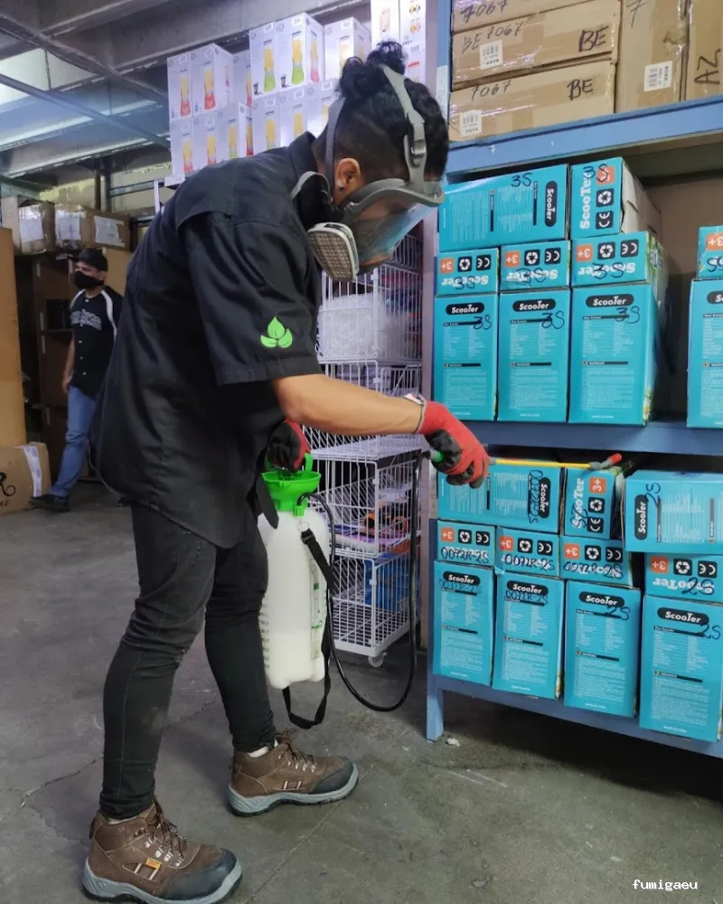 Fumigar cucarachas en Sevilla | Cuquis fuera