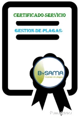 BySAMA