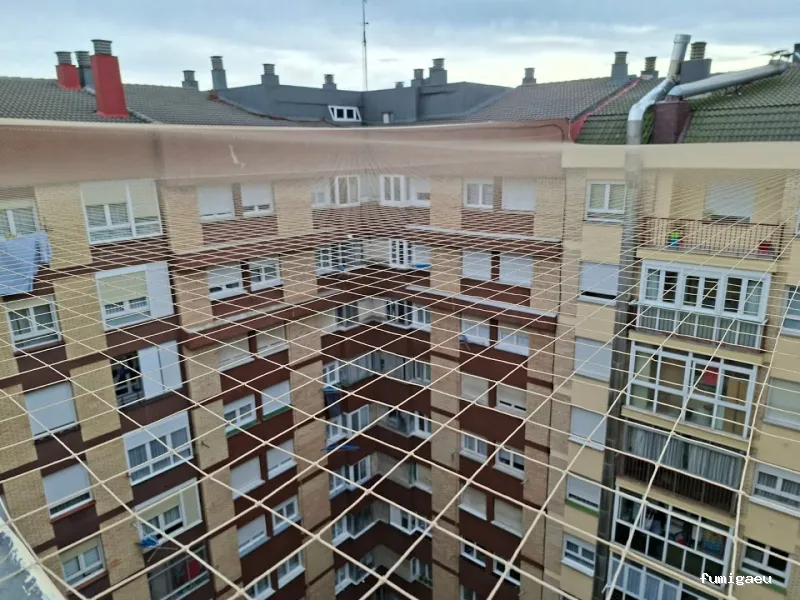 Control de Plagas Passer