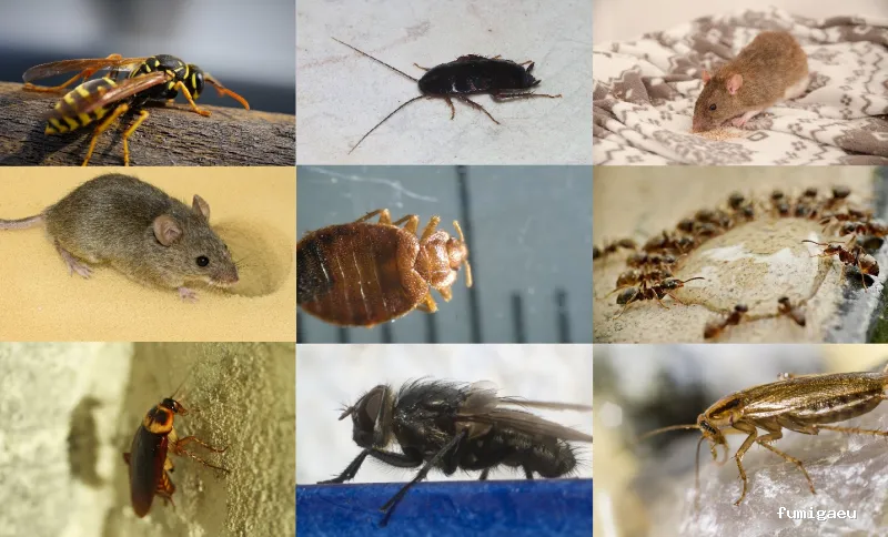 Biodal Control Ambiental