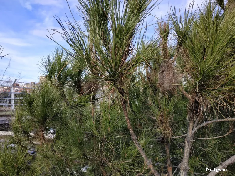 Biodal Control Ambiental