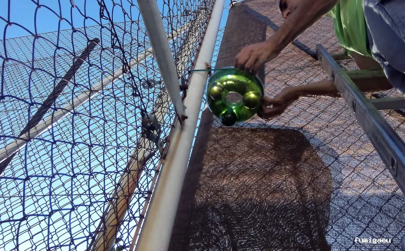 Biodal Control Ambiental