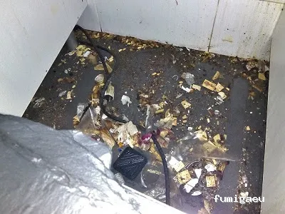 Biodal Control Ambiental