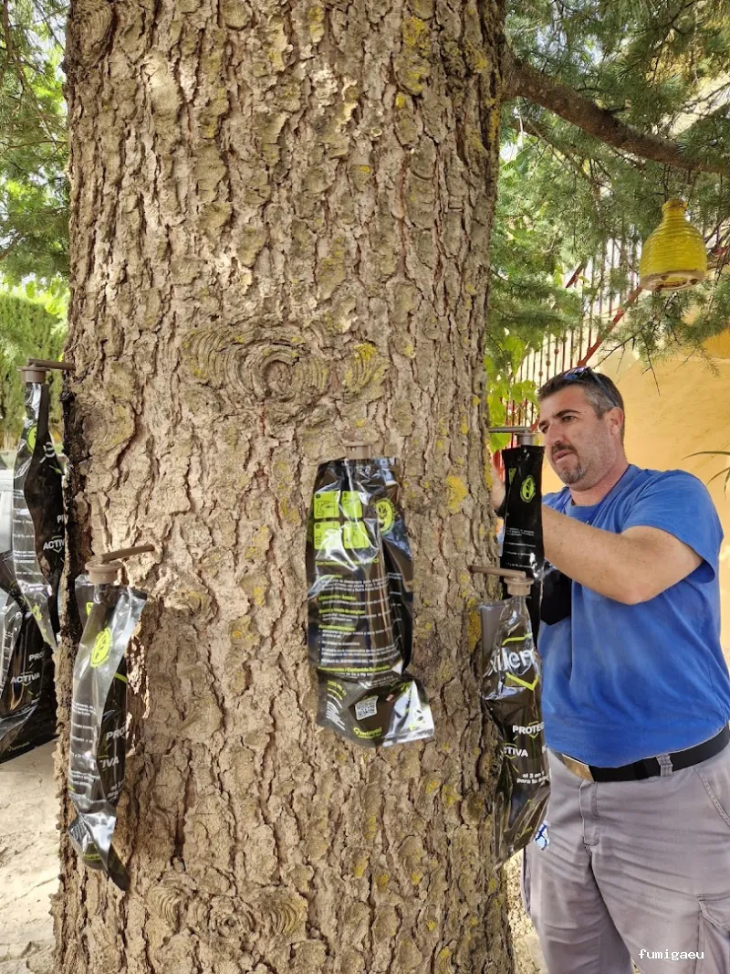 MAYO & GARCÍA SERVICE GROUP SLU