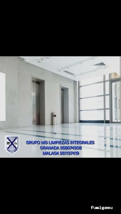 MAYO & GARCÍA SERVICE GROUP SLU