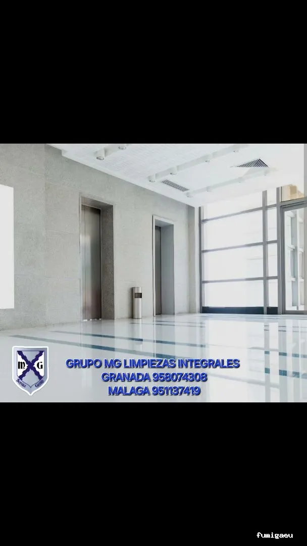 MAYO & GARCÍA SERVICE GROUP SLU