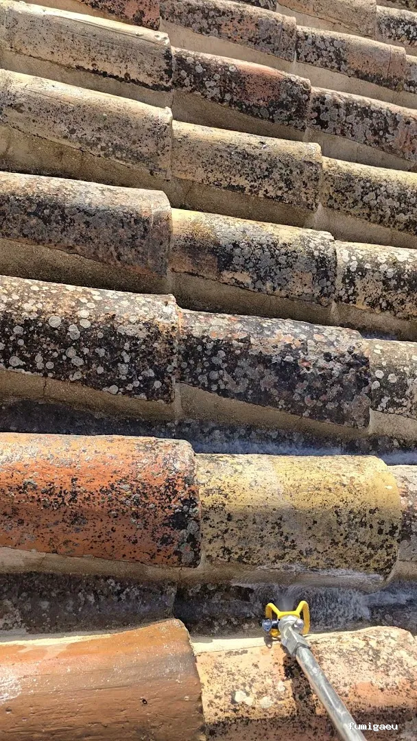 MAYO & GARCÍA SERVICE GROUP SLU