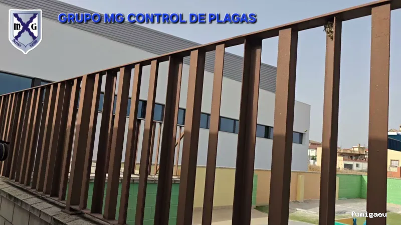 MAYO & GARCÍA SERVICE GROUP SLU