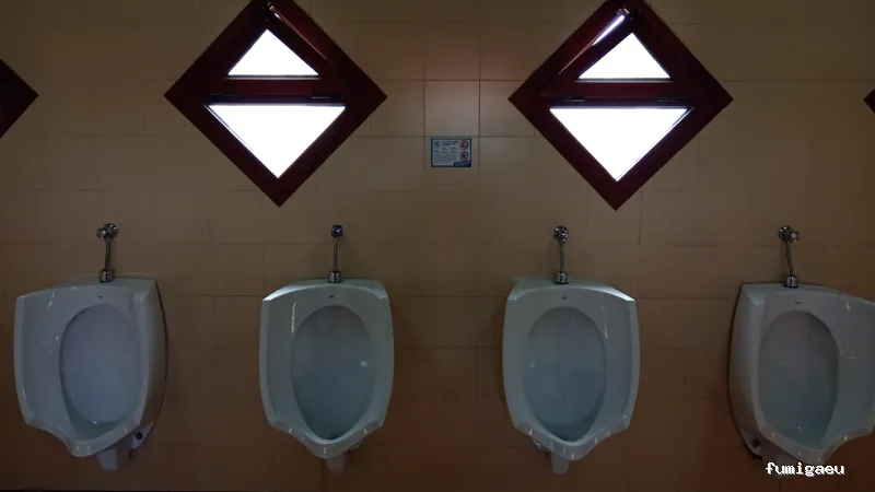 MAYO & GARCÍA SERVICE GROUP SLU