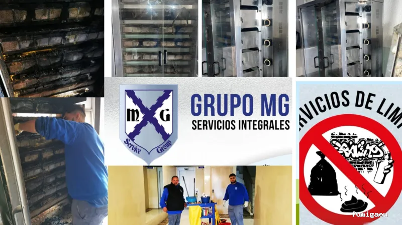 MAYO & GARCÍA SERVICE GROUP SLU
