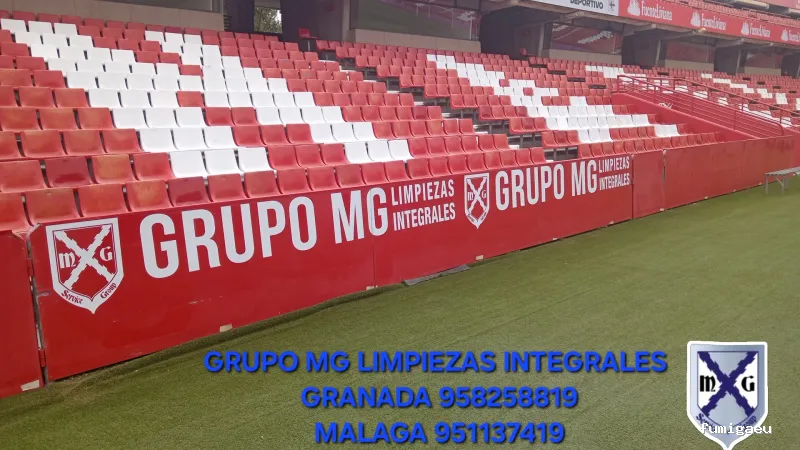 MAYO & GARCÍA SERVICE GROUP SLU