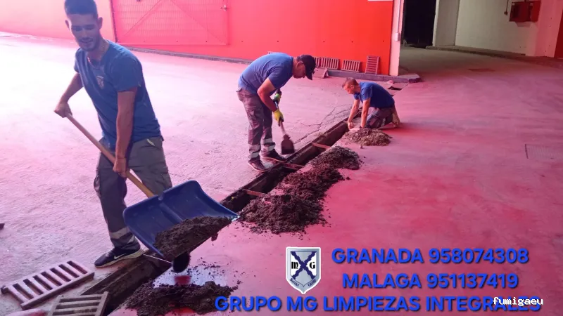 MAYO & GARCÍA SERVICE GROUP SLU