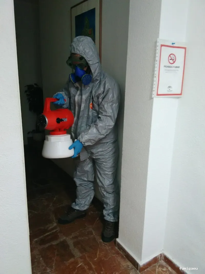 MAYO & GARCÍA SERVICE GROUP SLU