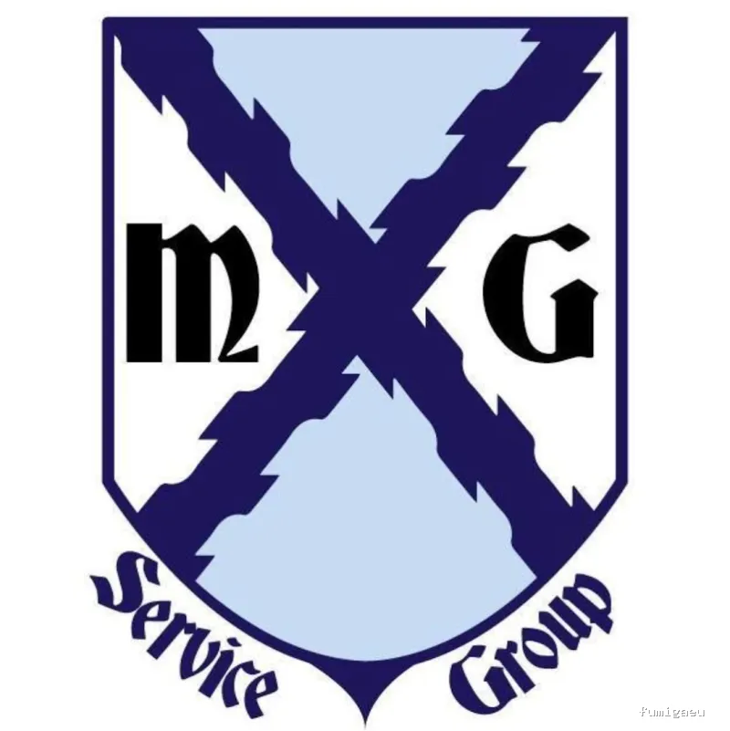 MAYO & GARCÍA SERVICE GROUP SLU