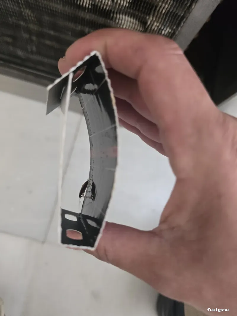 MAYO & GARCÍA SERVICE GROUP SLU