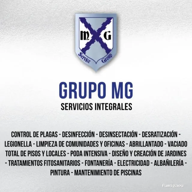 MAYO & GARCÍA SERVICE GROUP SLU