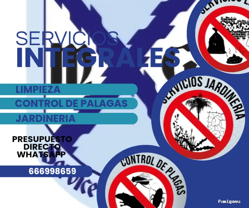 MAYO & GARCÍA SERVICE GROUP SLU