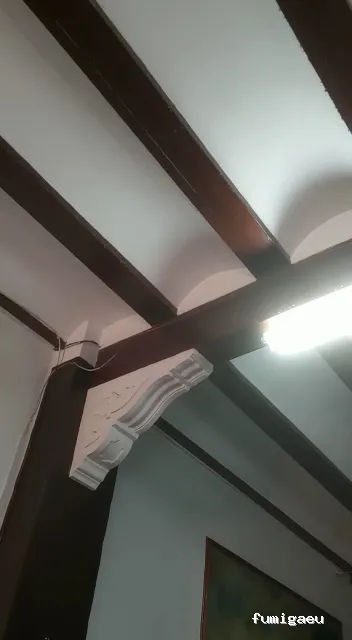 Control de plagas Betera