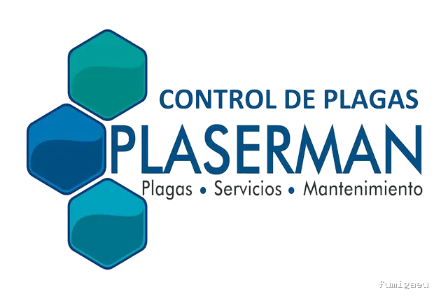 Control de plagas Betera