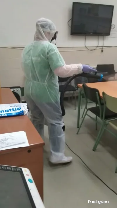 EcoSerra | Control De Plagas en Valencia