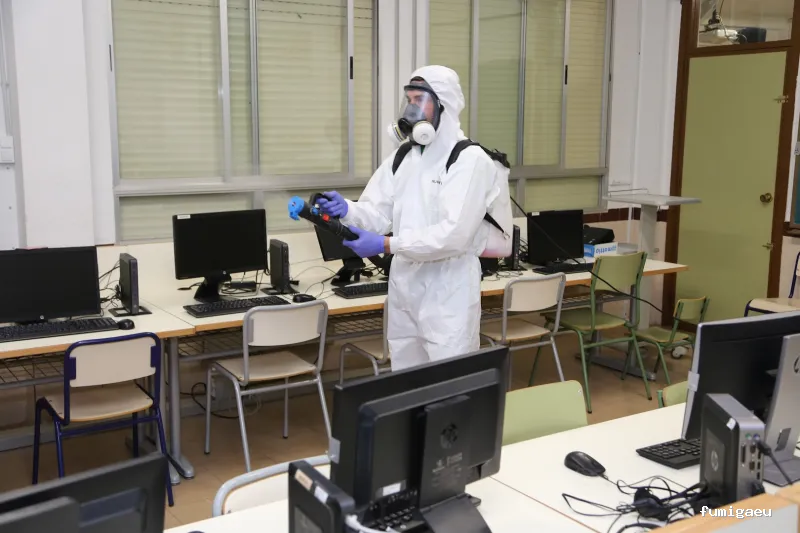 EcoSerra | Control De Plagas en Valencia