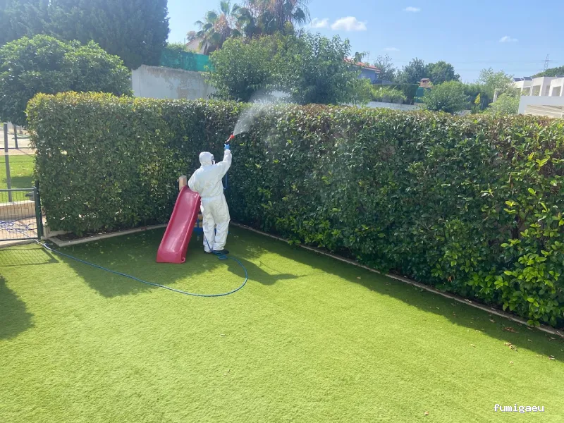 EcoSerra | Control De Plagas en Valencia