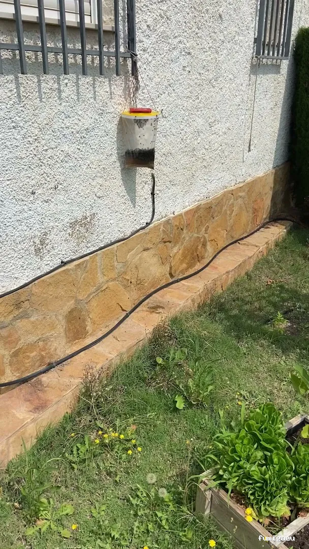 EcoSerra | Control De Plagas en Valencia