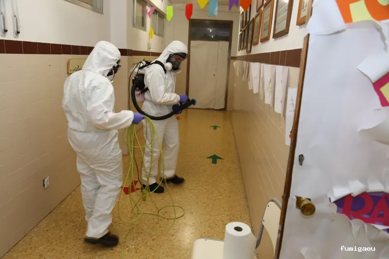 EcoSerra | Control De Plagas en Valencia