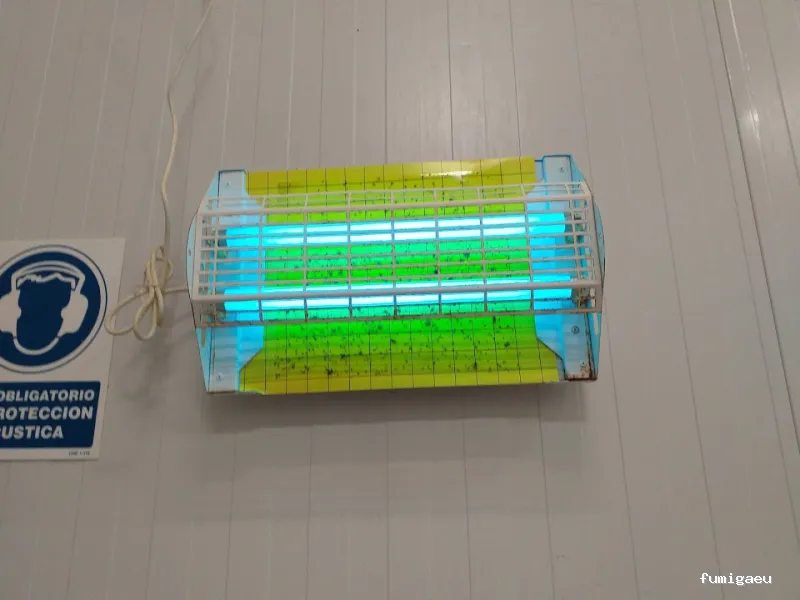 EcoSerra | Control De Plagas en Valencia