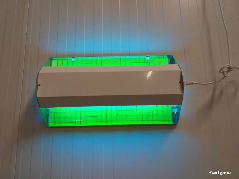 EcoSerra | Control De Plagas en Valencia