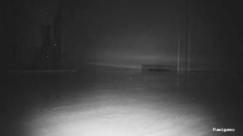 EcoSerra | Control De Plagas en Valencia