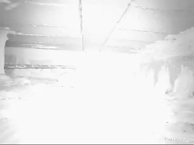 EcoSerra | Control De Plagas en Valencia