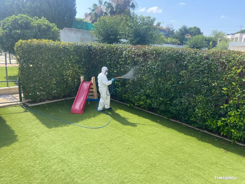 EcoSerra | Control De Plagas en Valencia