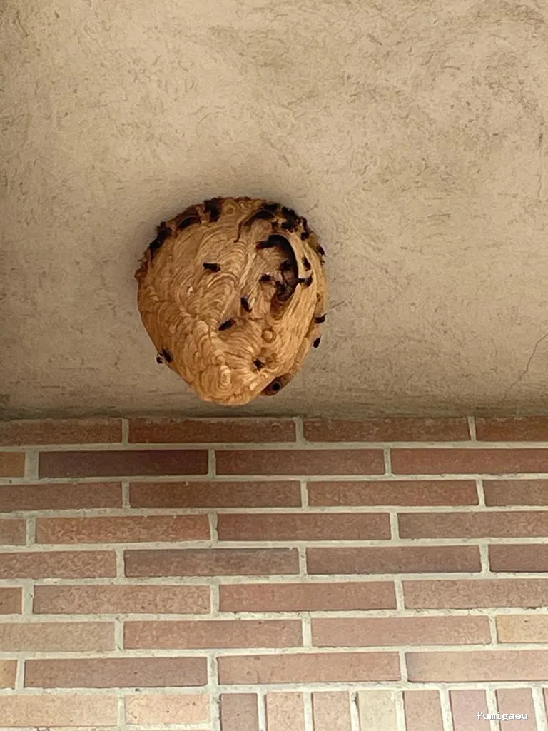 Multiplag | Tienda Insecticidas y Productos Plagas