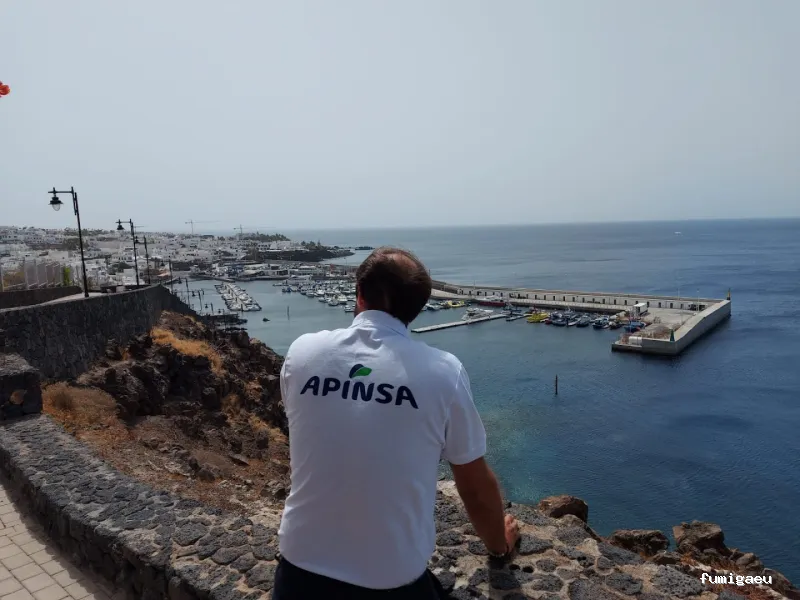 Apinsa Gran Canaria