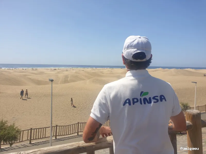 Apinsa Gran Canaria