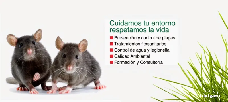 ARTE GESTIÓN AMBIENTAL (GRUPO ARTE) || Expertos en Control de Plagas y Legionella