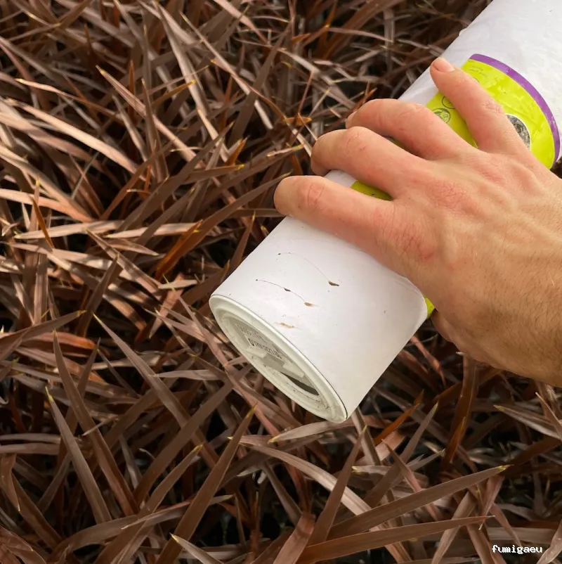 Educación Ambiental, Formación Agraria y Asesoramiento - Biosoluciones Agro