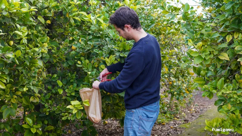 Educación Ambiental, Formación Agraria y Asesoramiento - Biosoluciones Agro