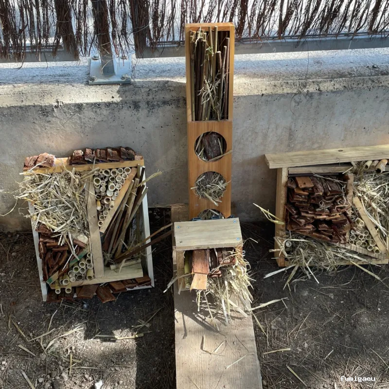 Educación Ambiental, Formación Agraria y Asesoramiento - Biosoluciones Agro