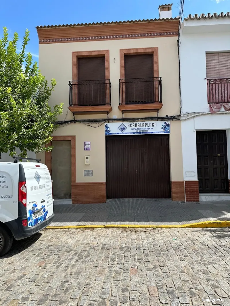 ACABALAPLAGA | Control de Plagas