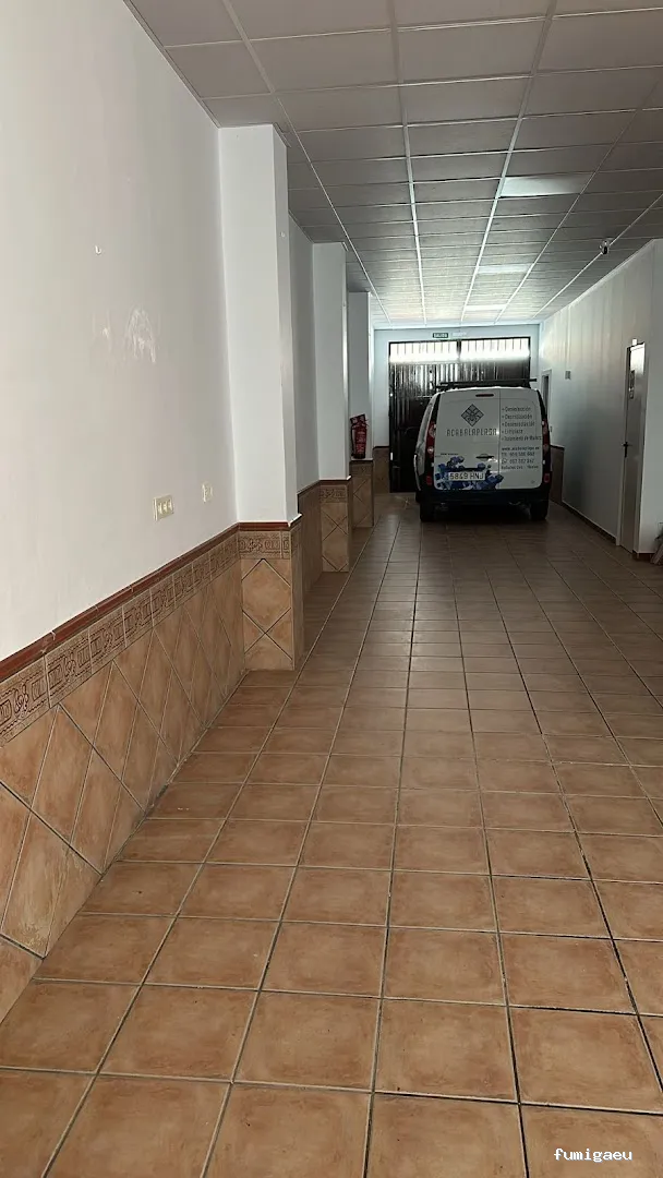 ACABALAPLAGA | Control de Plagas