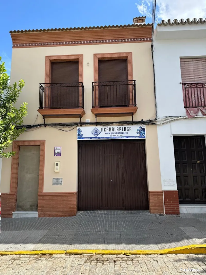 ACABALAPLAGA | Control de Plagas