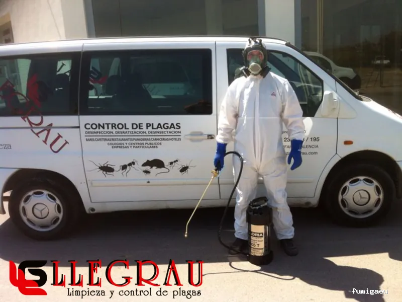 Servicios de Limpieza y Control de Plagas Llegrau