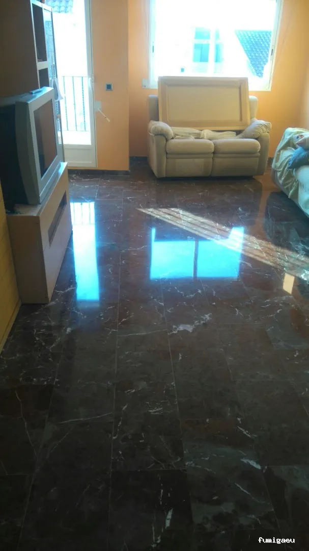 Servicios de Limpieza y Control de Plagas Llegrau