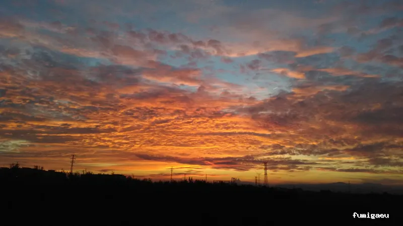 Servicios de Limpieza y Control de Plagas Llegrau