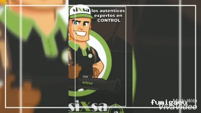 SIXSA-Sanidad Ambiental | Control de Plagas | Fumigaciones | Los auténticos expertos en termitas y carcoma.